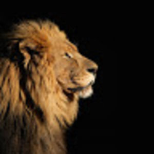 Meet your Posher, Lux